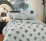 Орион 1 компаньон