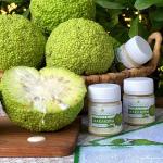 Мазь Маклюры (при грыжах, опухолях, артрозе, пяточных шпорах)