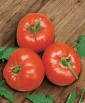 Томат Белгородский 10шт (25275)
