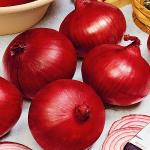 Лук Красная Горка 0,8г (2141)