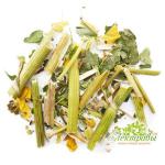 Володушка золотистая (трава)