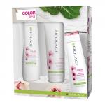 MATRIX Набор Биолаж Колорласт весенний БОМ (шампунь 250мл+кондиционер 200мл)