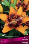 Лилия ЛА-гибрид. Луковичные