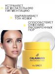 THE SAEM CALAMANSI PORE COOL Охлаждающий поросуживающий крем для лица, 100 мл