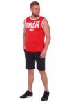 Майка Россия мужская