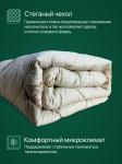 Одеяло Золотое Руно  всесезонное Евро