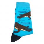 В мире животных "Утконос", р-р 40-44 (голубой)