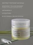 Vely Vely Успокаивающие пэды с экстрактом ростков пшеницы The Wheat Sprout water Calming Pad 165 мл