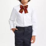 Галстук-бабочка факультета Гриффиндор (регулируемый размер)