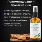 Beauty 365 Дезодорант минеральный натуральный для мужчин, 100 мл