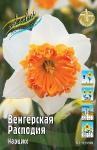 НАРЦИССЫ КРУПНОКОРОНЧАТЫЕ, СПЛИТ, ГОФРИРОВАННЫЕ