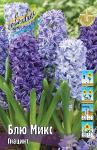 ГИАЦИНТЫ СМЕСИ