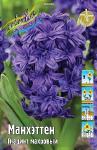ГИАЦИНТЫ МАХРОВЫЕ