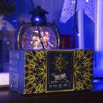 Гирлянда «Бахрома» 3 ? 0.6 м, IP44, УМС, тёмная нить, 160 LED, свечение синее, 220 В