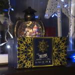 Гирлянда «Бахрома» 3 ? 0.6 м, IP44, УМС, прозрачная нить, 160 LED, свечение бело-синее, мигание, 220 В