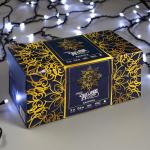 Гирлянда «Бахрома» 3 ? 0.6 м, IP44, УМС, тёмная нить, 160 LED, свечение белое, 220 В