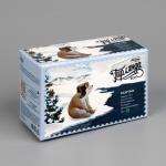 Гирлянда «Бахрома» 1.8 ? 0.5 м, IP20, прозрачная нить, 48 LED, свечение зелёное, 8 режимов, 220 В