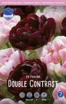Тюльпан Дабл Контраст смесь (Tulipa Double Contrast), 15 шт