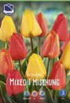 Тюльпан Дарвинов гибрид смесь (Tulipa Darwin Hybrid mix), 10 шт (разбор 12/14)