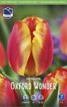 Тюльпан Оксфорд Вондер (Tulipa Oxford Wonder), 15 шт (разбор 14/16!)