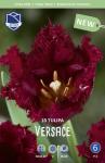Тюльпан Версаче (Tulipa Versace), 10 шт (разбор 12/14)