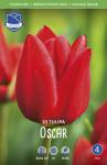 Тюльпан Оскар (Tulipa Oscar), 10 шт (разбор 12/14)