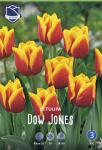 Тюльпан Доу Джонс (Tulipa Dow Jones), 10 шт (разбор 11/12)