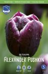 Тюльпан Александр Пушкин (Tulipa Alexander Pushkin), 10 шт (разбор 12/14)
