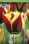 Тюльпан Гавота (Tulipa Gavota), 10 шт (разбор 12/14)