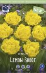 Тюльпан Лемон Шут (Tulipa Lemon Shoot), 10 шт (разбор 12/14)