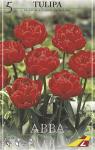 Тюльпан Абба (Tulipa Abba), 5 шт (разбор 11/12)