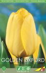 Тюльпан Голден Оксфорд (Tulipa Golden Oxford), 5 шт (разбор 11/12)