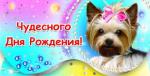 Конверт для денег. Чудесного Дня рождения! 00017 (комплект из 10шт.)