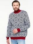 Джемпер мужской 5232-12362