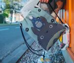 62078 Мир Миядзаки | Рюкзак текстильный "Хранители леса", р-р 39х32 (мятный)