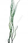 Ветки ветвистые, зеленые (5 шт.)
