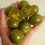 Томат Зелёный шмель 10 шт