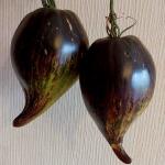 Томат Изумрудная Парча 10 шт