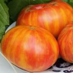 Томат Индейская резервация 10 шт