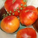 Томат Армянские 10 шт