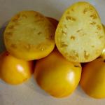 Томат Бразильский принц 10 шт