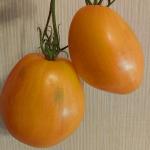 Томат Дынный ликёр 5 шт