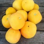 Томат Жёлтая мишень 10 шт