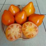 Томат Жёлтый с озера Брет 10 шт