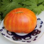 Томат Жёлтые полосы Кармеллы 10 шт