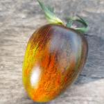 Томат Звездопад в августе 10 шт