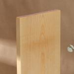 Доска разделочная деревянная Adelica, 50?20?2 см, покрыта маслом, цельная берёза