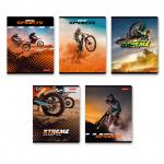 "Светоч"   80ТСК5_0_2_1   Тетрадь ученическая общая,   A5+   80 л.  на скобе   65 г/кв.м , белизна 100 \%  5 шт.  клетка