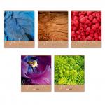 "Светоч"   96ТЕТк-003   Тетрадь ученическая общая, выборочный лак,   A5+   96 л.  на скобе   60 г/кв.м , белизна 100 \%  5 шт.  клетка