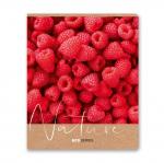 "Светоч"   96ТЕТк-003   Тетрадь ученическая общая, выборочный лак,   A5+   96 л.  на скобе   60 г/кв.м , белизна 100 \%  5 шт.  клетка